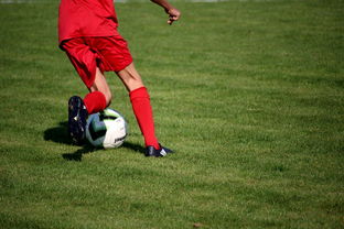 kering.com-篮球运动员心理健康维护及心理干预体系建设，篮球运动员心理训练